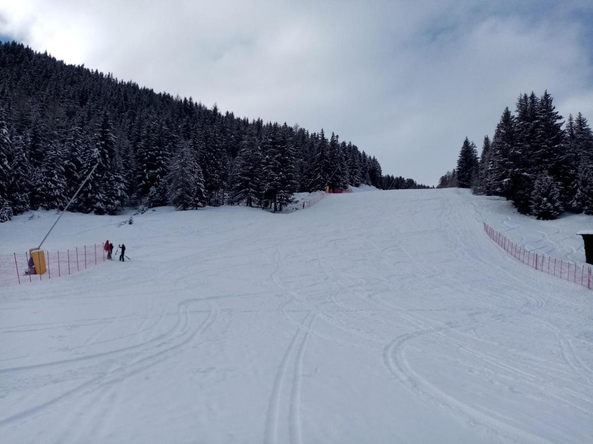 Comodo Alloggio Con Accesso Diretto Alle Piste Santa Caterina Valfurva Zewnętrze zdjęcie